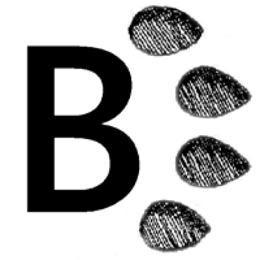 Utah Mountain Lion Hunts